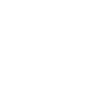 https://www.boschdiagnostics.com/sites/default/files/2025-03/flow-diagram.png
